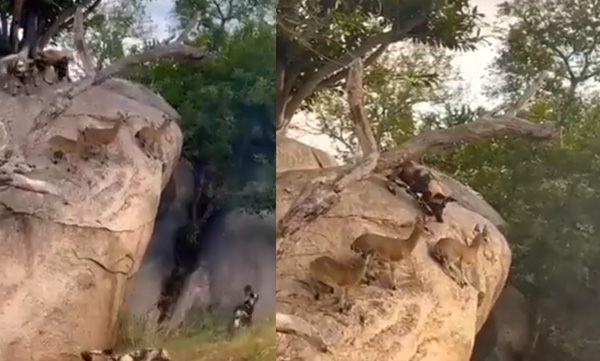  balancing-life-keeping-calm-at-the-face-of-death