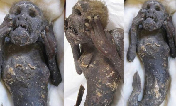mystery-behind-300-year-old-mummified-mermaid