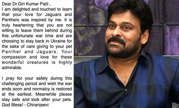 Actor Chiranjeevi wrote letter to Indian doctor who refuses to leave Donbas without pet jaguar and panther