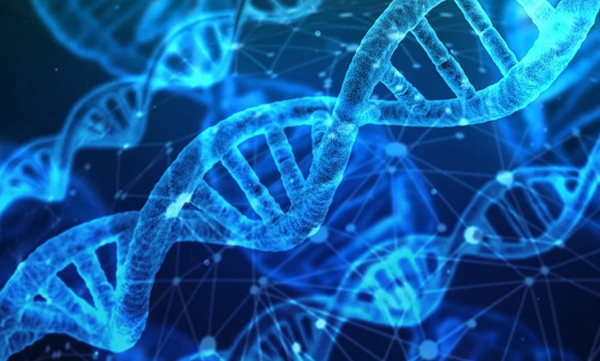 self-evolving-rna-life-on-earth