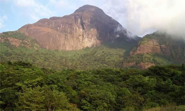 Eco sensitive zone in forest buffer zone