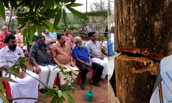 joint-pledge-to-protect-a-mango-tree-kollam