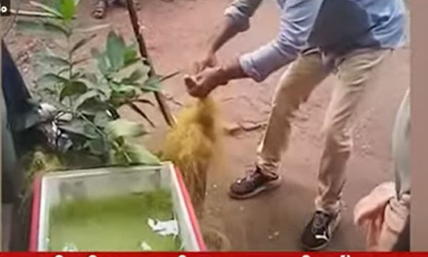 snake master gets snack bit