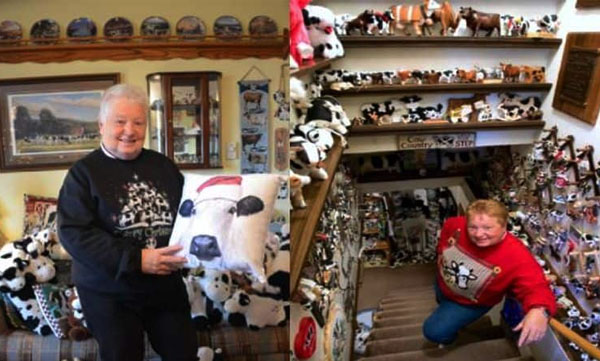 cow-related-items-in-house-woman-has-set-guinness-world-record