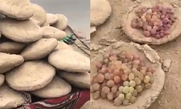 clay-is-used-to-preserve-grapes-for-months-in-afghanistan-viral-video