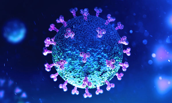 At IIT Madras, 26 more Covid-19 cases reported