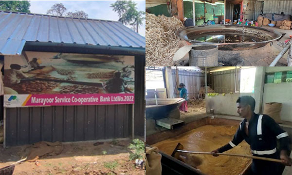 GST-added-on-Jaggery-Marayur-farmers-in-trouble