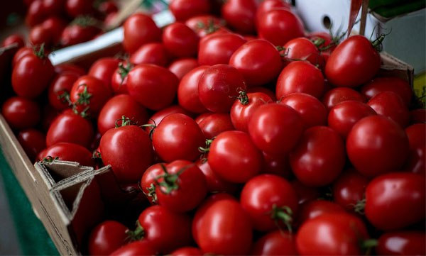 tomato-price-hike