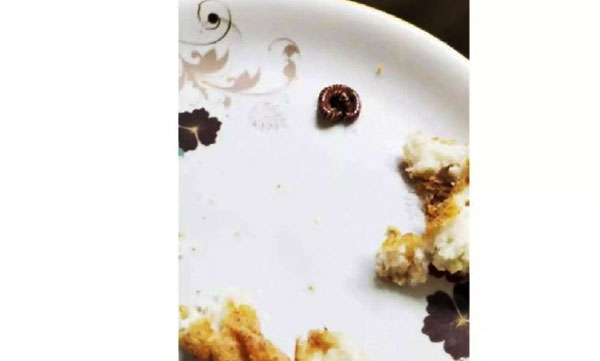 millipedes-found-in-snack-food-stall-closed-in-kasaragod-district-hospital