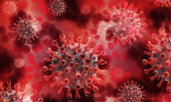 covid-19-fourth-wave-iit-kanuipur