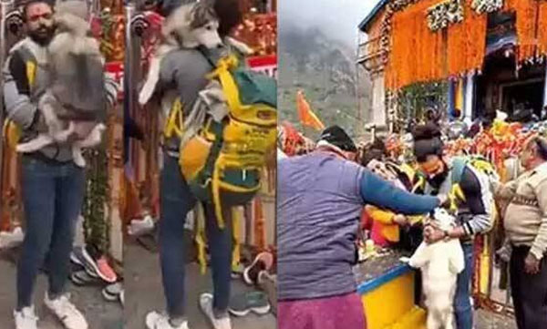 video-of-vlogger-making-priest-to-put-vermillion-tilak-on-husky-gone-viral-strict-action-would-be-taken