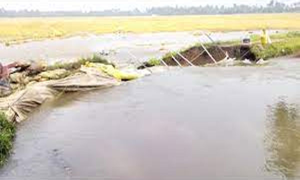 alappuzha paddy field