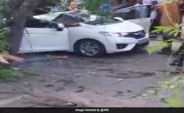 Woman Dies As Tree Falls On Her Car While Driving In Chennai