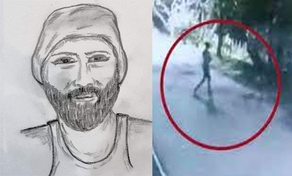 Man who attacked woman at Museum area; identified 