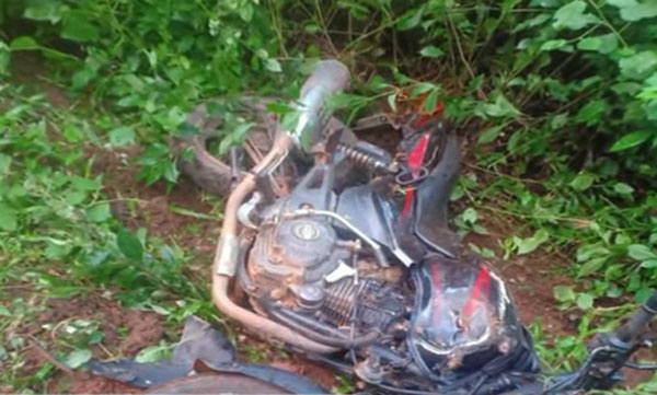 Wild elephant attack at Aaralam farm