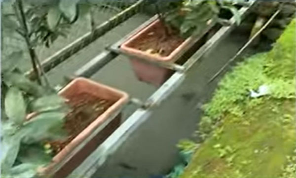 kid collapsed in drainage at kochi; injured