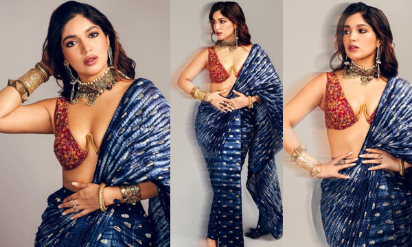 actress-bhumi-pednekar-look-hot-in-saree
