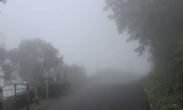 cold season in munnar