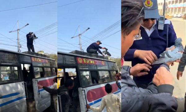 Traffic police helps bird to fly