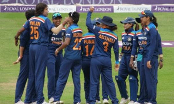 wipl cricket