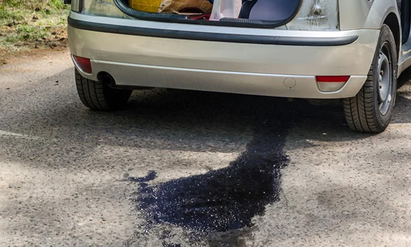 Ethanol-laced petrol is loved by beetles: Auto companies too to stop the villain.