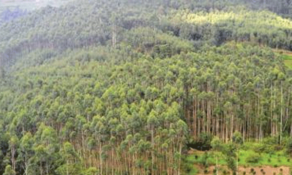 buffer zone: no land for farmers