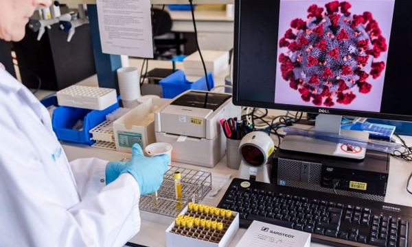 COVID viruses are also the villain of unborn babies.. University of Vienna with a shocking revelation