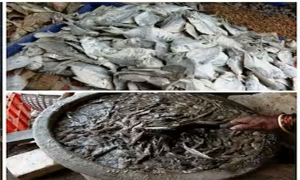 Production of dried fish to kerala has become unsanitary