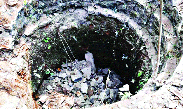 high court repeal bail ; police move arrest offender