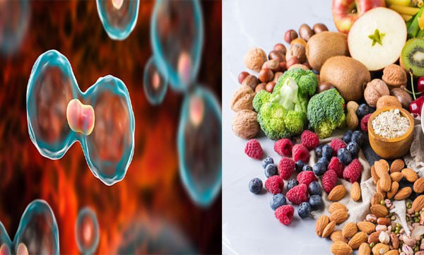 Diet can be changed; Cancer can be prevented