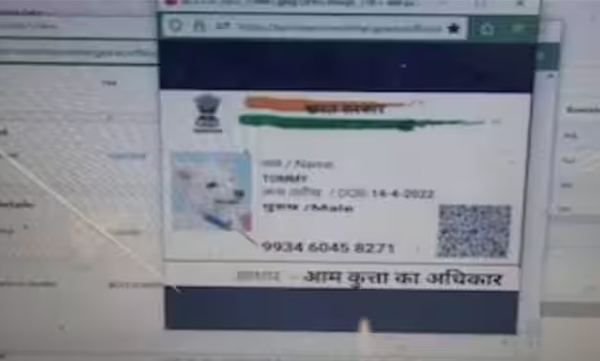 Father Sheru Mother Jinni: Dog's application for caste certificate; The officers were shocked