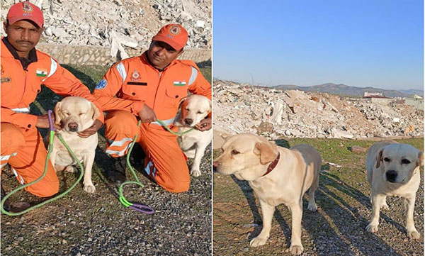 NDRF's dog squad rescued two minor girls from  earthquake area
