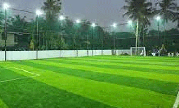 Regulation of turfs in the state: Is the rumor true?