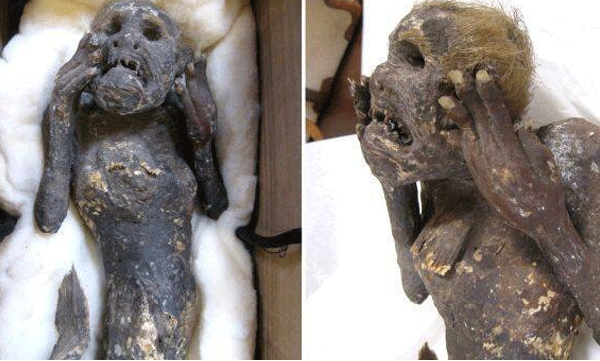 A strange-looking mummy mermaid; Researchers in Japan examined the mummy