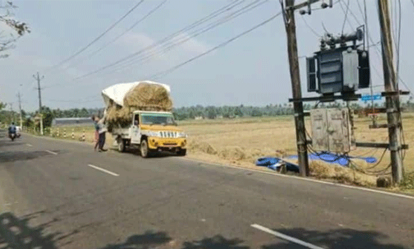 What is the cruelty towards the farmers who grow food?