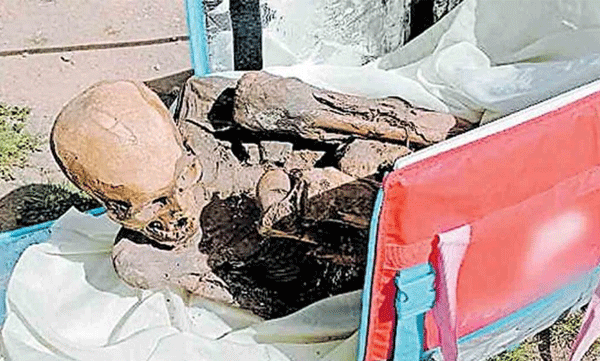 An 800-year-old mummy was kept in the bag in which the young man distributed food