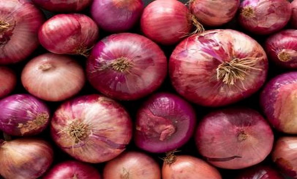 Govt directs agencies to procure onion from farmers as its prices crash