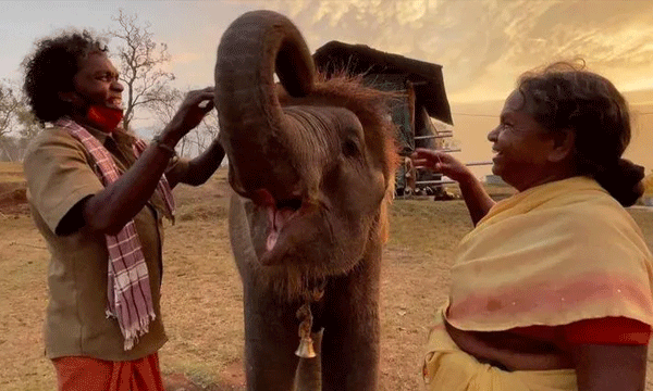 Bomman and Bellie, Oscar-winning The Elephant Whisperers are yet to watch it