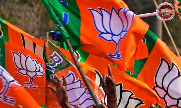 sanghparivar make bjp to election