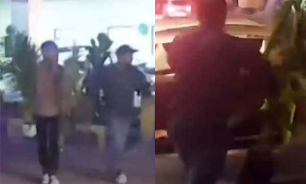 Youth arrested for stealing plant pots decorated for G20 in BMW