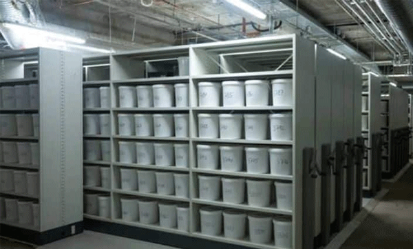 This university has thousands of human brains for scientific research studies