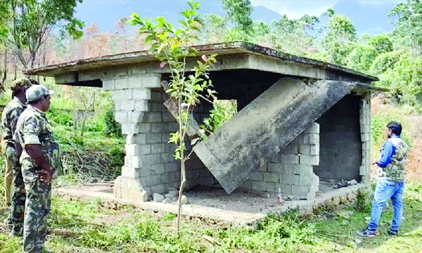 trap trady for  arikomban