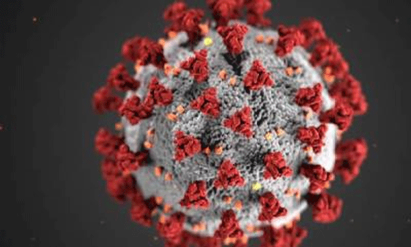 Increase in covid cases in the country