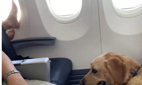 The leg was placed on the arm rest of the plane; Complaint that this is the most disgusting incident seen on the plane