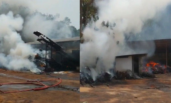 Coir factory fire; An area of ​​about half an acre was destroyed by fire