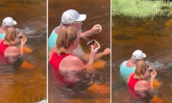 The old couple fed the crocodile