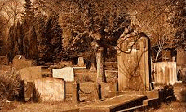 The cry to be saved from the grave; The police arrived after knowing the information; What happened next...