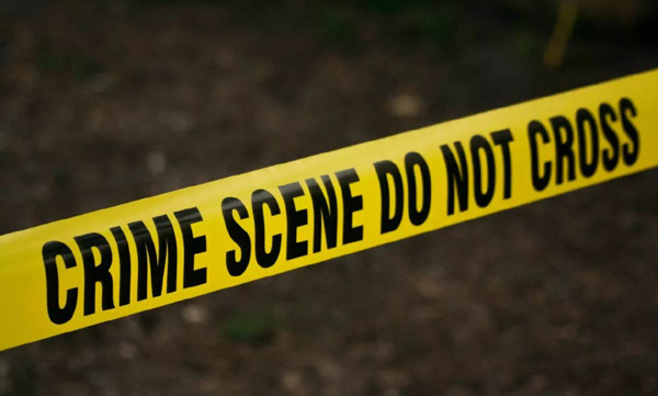 Son kills parents after verbal dispute; Father stabbed 47 times in 38 seconds - video