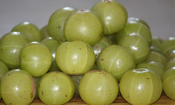 benifit of goosberry