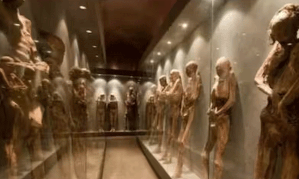 Egypt's mummies cause danger: warned health experts